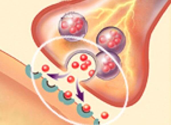 Cell Electrical Charge